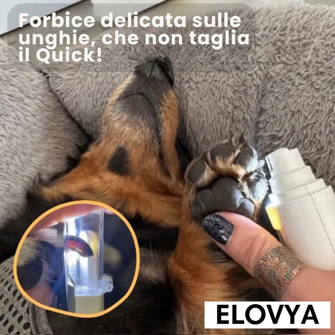 Il tagliaunghie LED 2-in-1 per una cura delle zampe sicura e senza stress