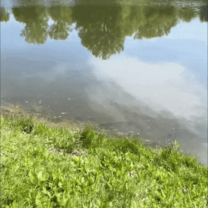 NOLYAA™ | Lunettes Premium Polarisées pour Pêcheurs