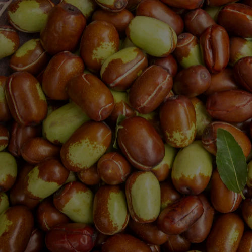 Olio di jojoba