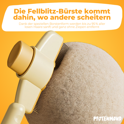 Fellblitz-Bürste - Der Bestseller