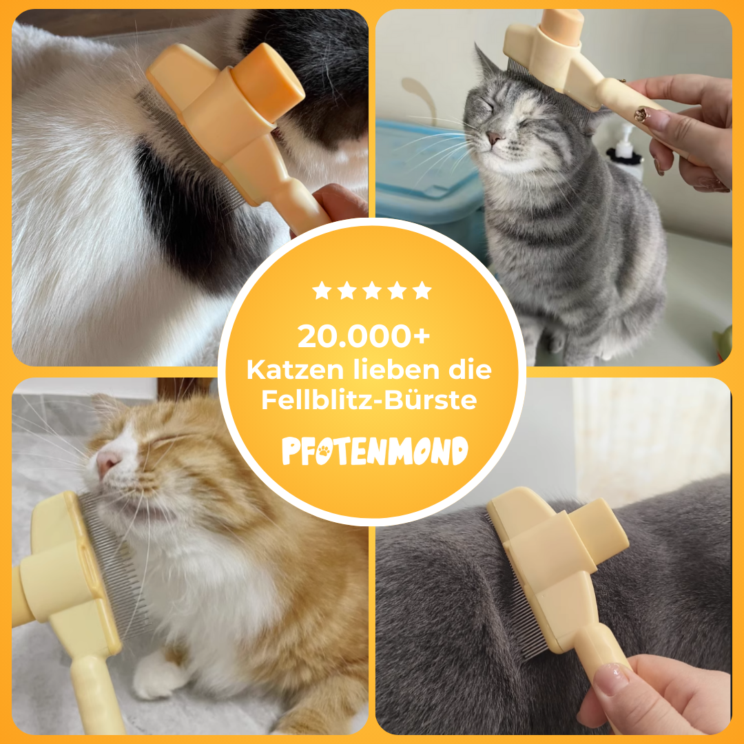 Fellblitz-Bürste - Der Bestseller