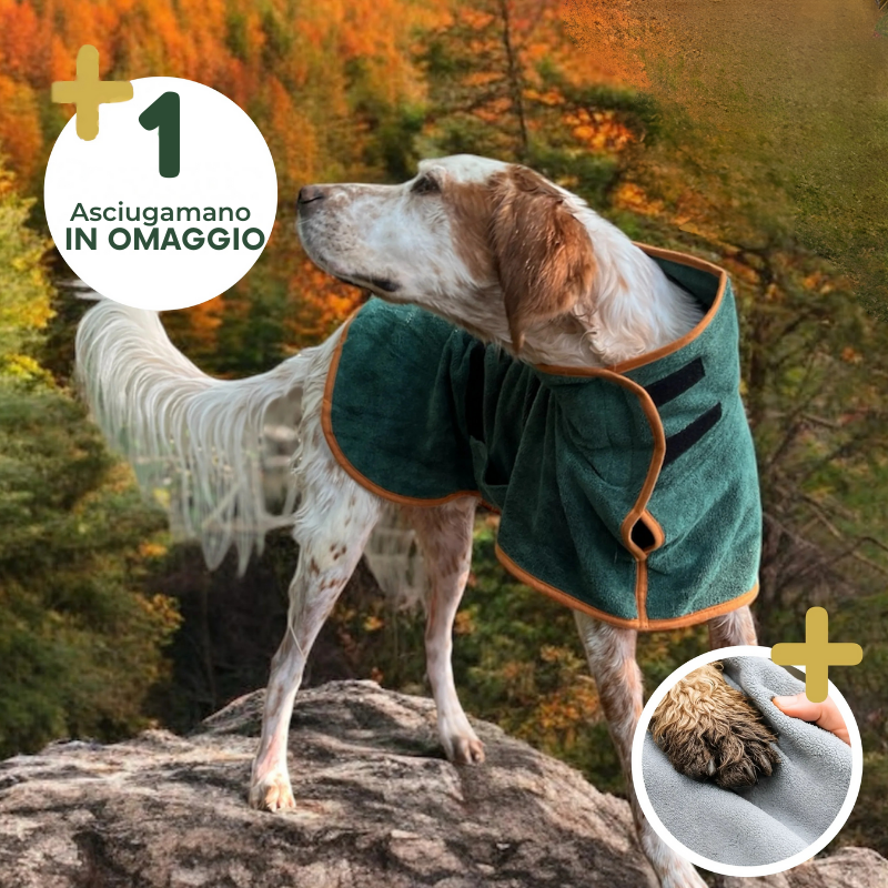 DogDry Lusso - Il benessere del tuo cane, asciutto e protetto