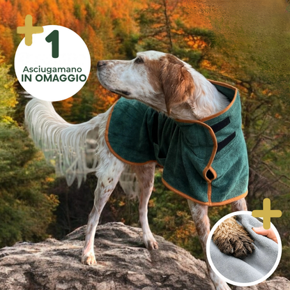 DogDry Lusso - Il benessere del tuo cane, asciutto e protetto