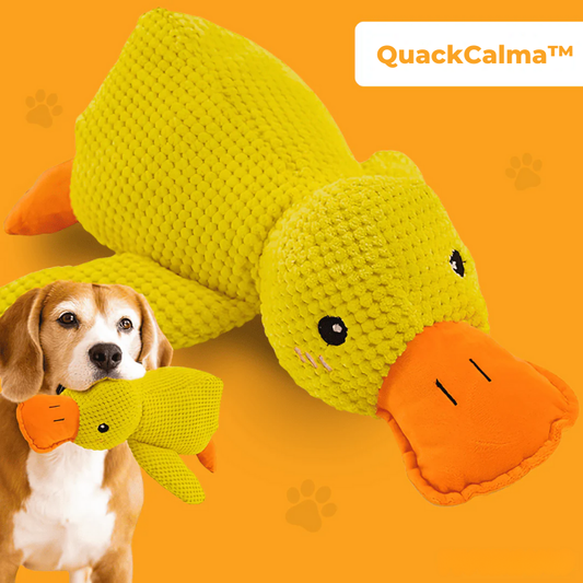 QuackCalma™ - Il compagno che rilassa ogni cagnolino