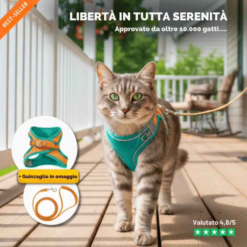 Pettorina Antifuga per Gatto