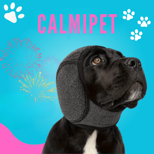 CalmiPet - Il silenzio che rassicura