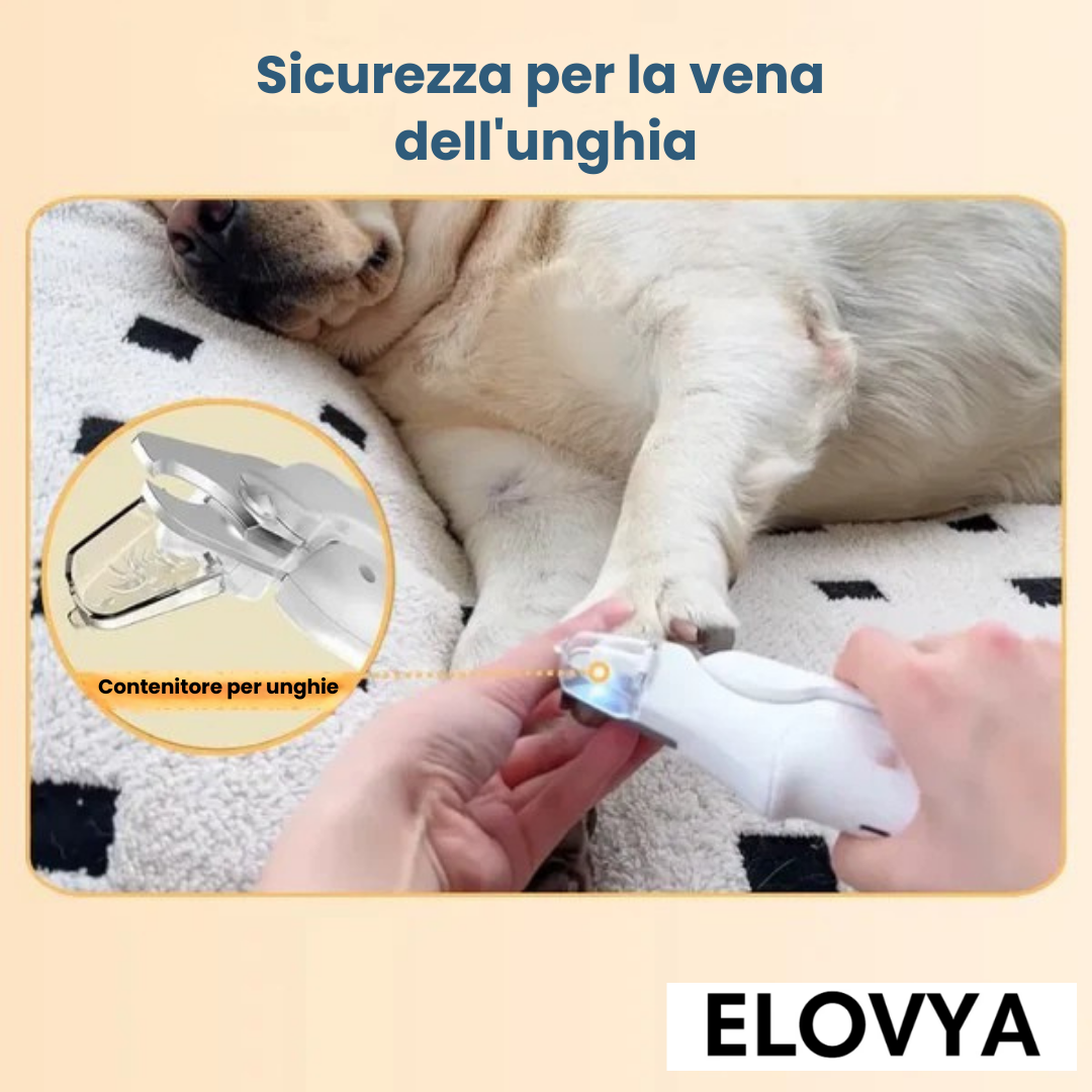 Il tagliaunghie LED 2-in-1 per una cura delle zampe sicura e senza stress