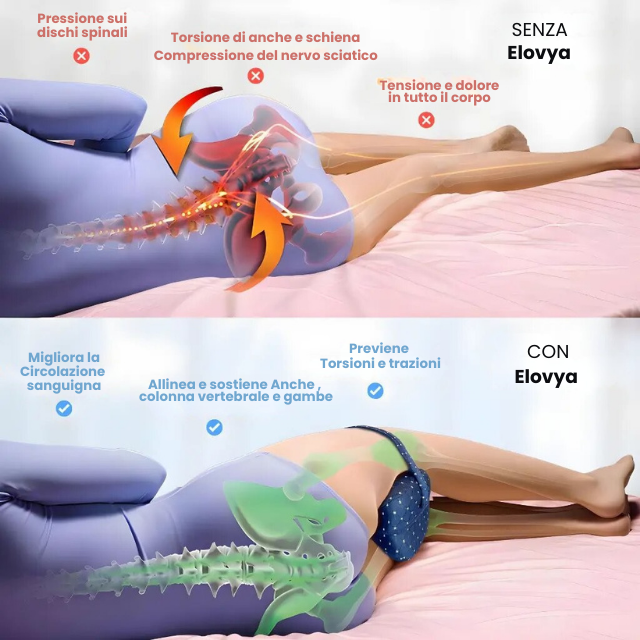 Cuscino per l'Allineamento Elovya