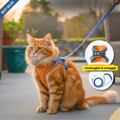 Pettorina Antifuga per Gatto