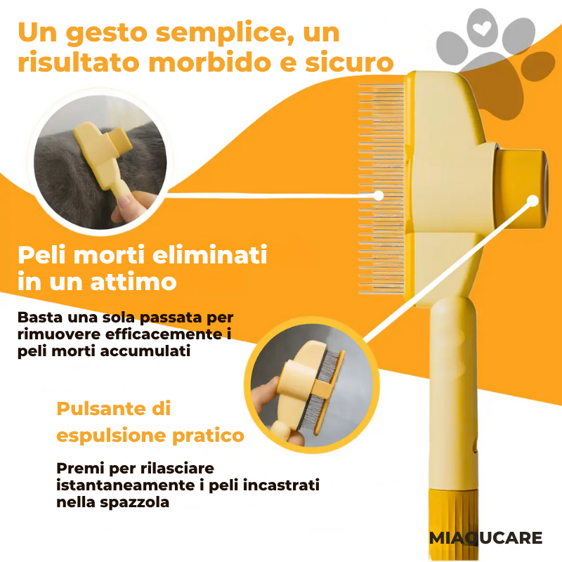 MIAOUCARE™ – La dolcezza a portata di zampa