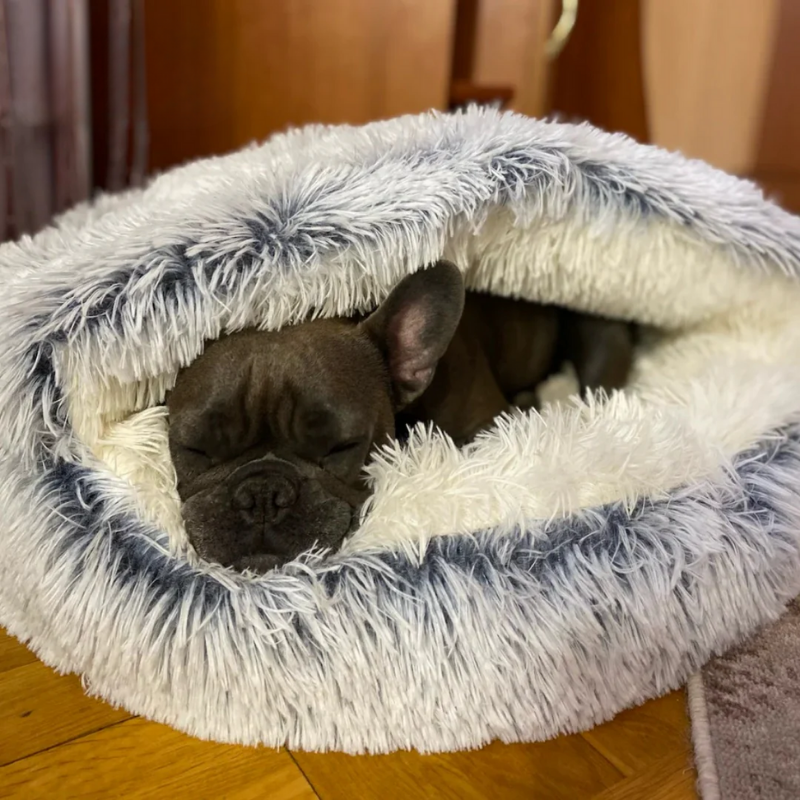 Coccolotto™ – Rifugio Morbido per Cani e Gatti