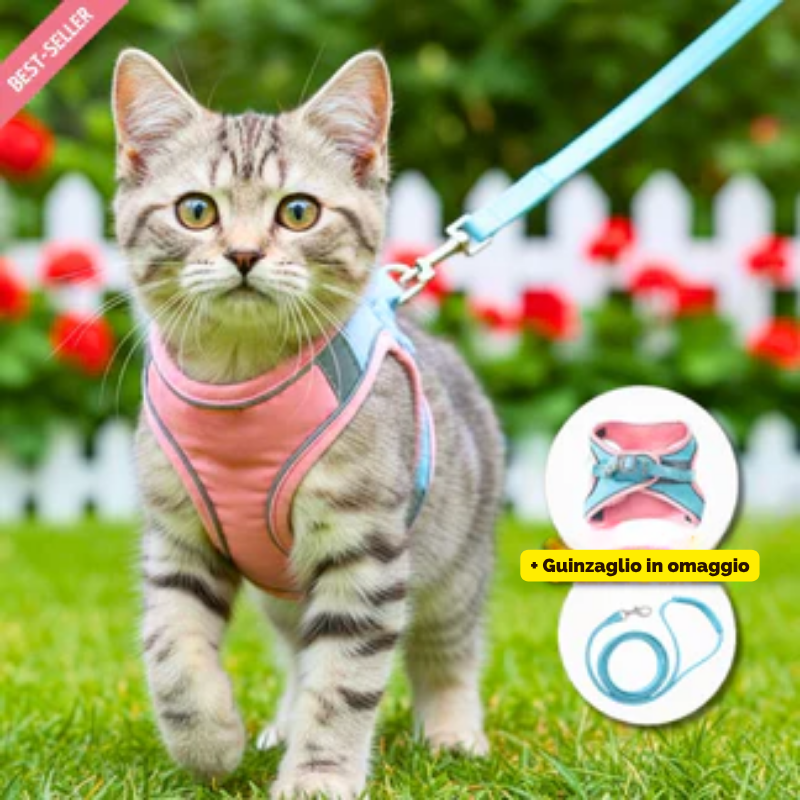 Pettorina Antifuga per Gatto