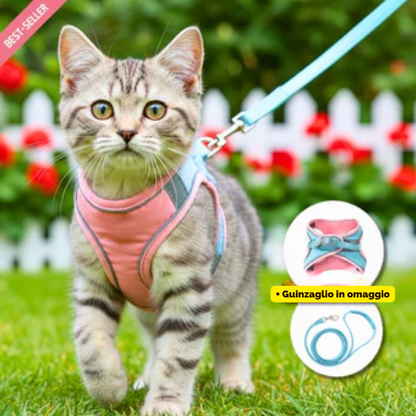 Pettorina Antifuga per Gatto