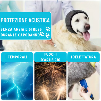 CalmiPet - Il silenzio che rassicura