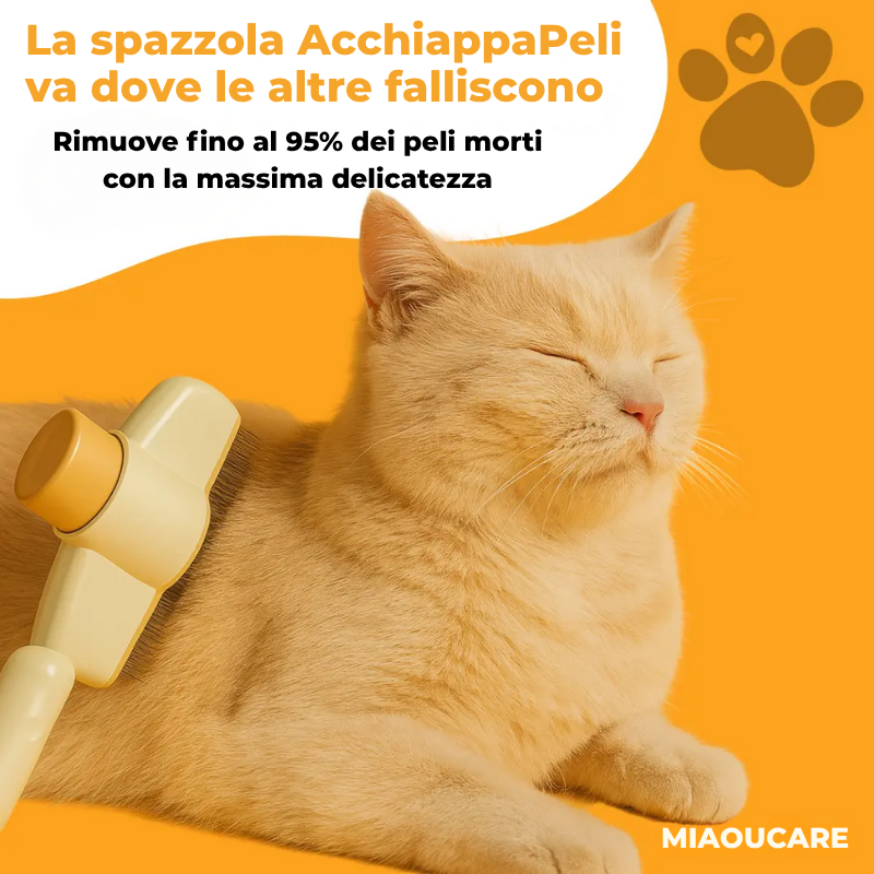 MIAOUCARE™ – La dolcezza a portata di zampa