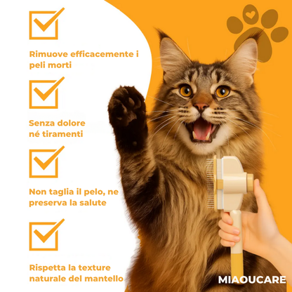 MIAOUCARE™ – La dolcezza a portata di zampa