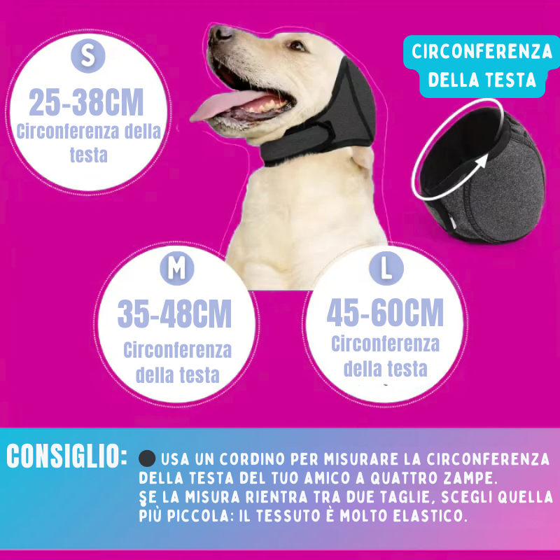 CalmiPet - Il silenzio che rassicura