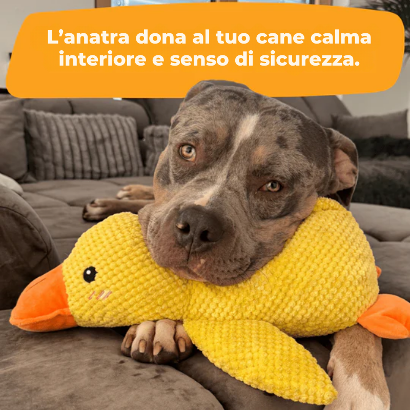 QuackCalma™ - Il compagno che rilassa ogni cagnolino