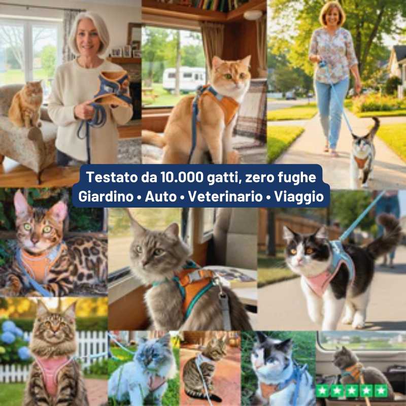 Pettorina Antifuga per Gatto