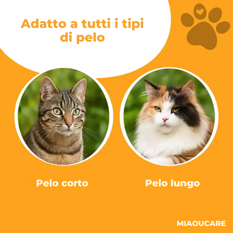 MIAOUCARE™ – La dolcezza a portata di zampa
