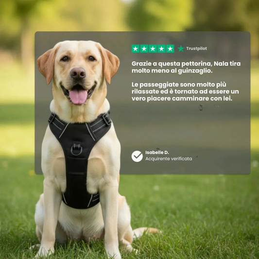 Pettorina Anti-Tiro Confortevole per Cani