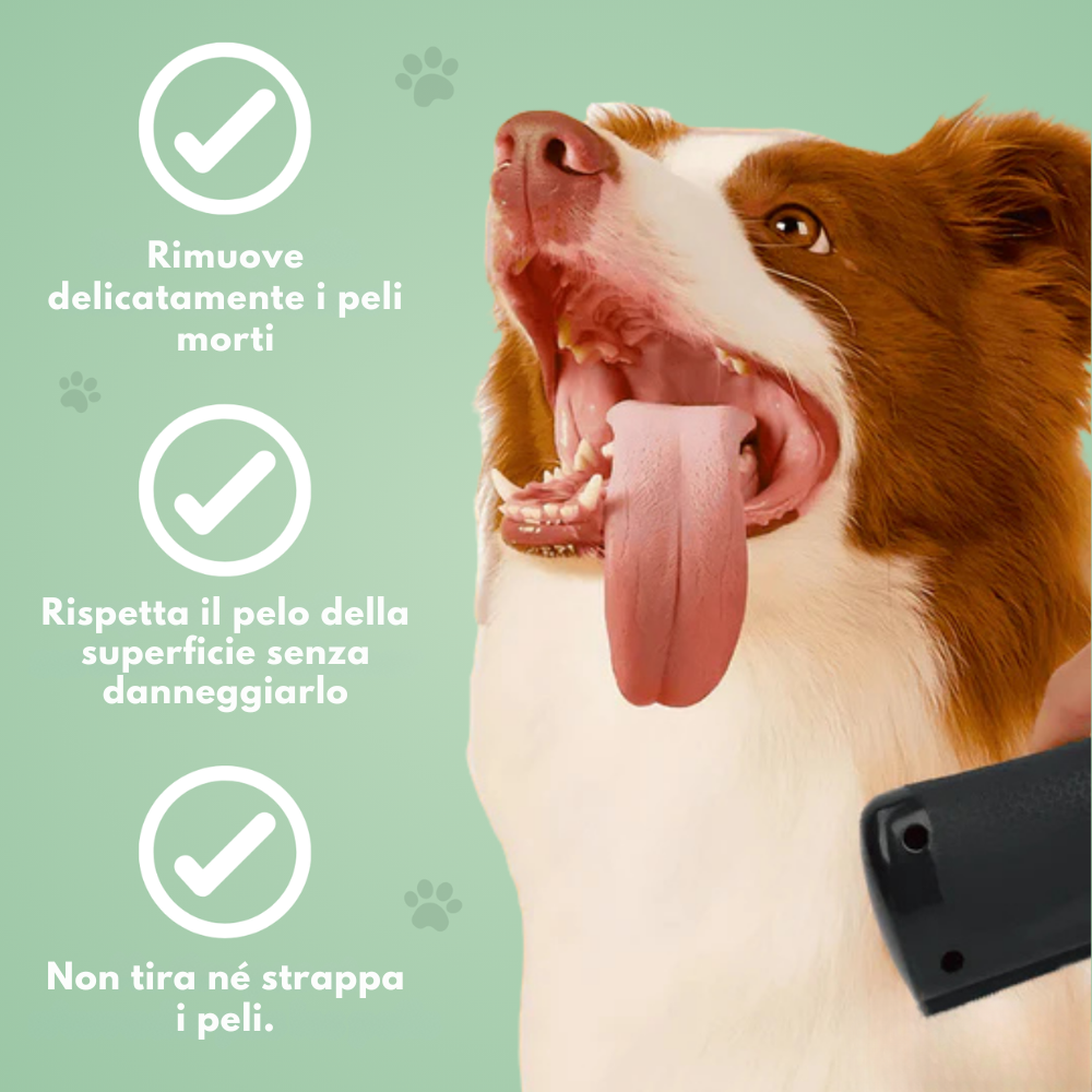 Spazzola per la toelettatura dei cani