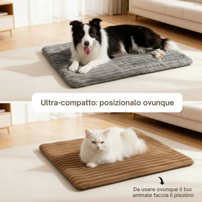 CaldoPet - Il calore naturale che il tuo pet ama