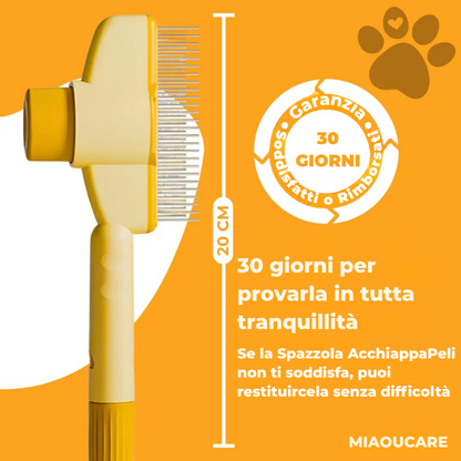 MIAOUCARE™ – La dolcezza a portata di zampa