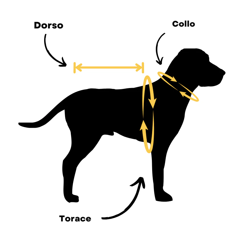 PeluCaldo™ - Il calore che protegge ogni passeggiata