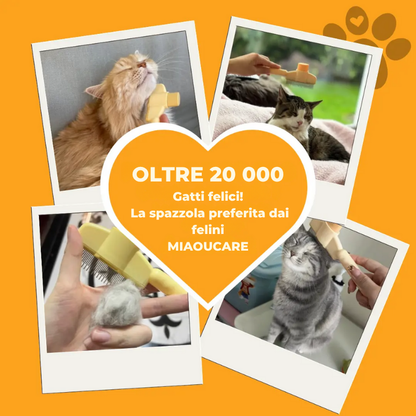 MIAOUCARE™ – La dolcezza a portata di zampa