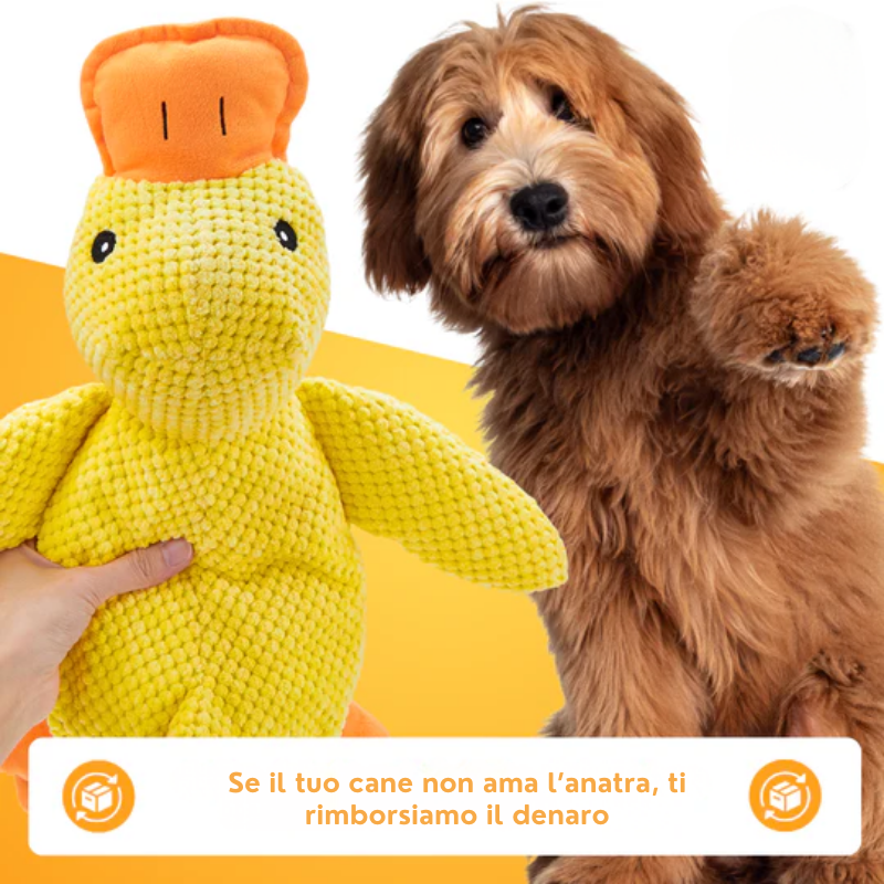 QuackCalma™ - Il compagno che rilassa ogni cagnolino