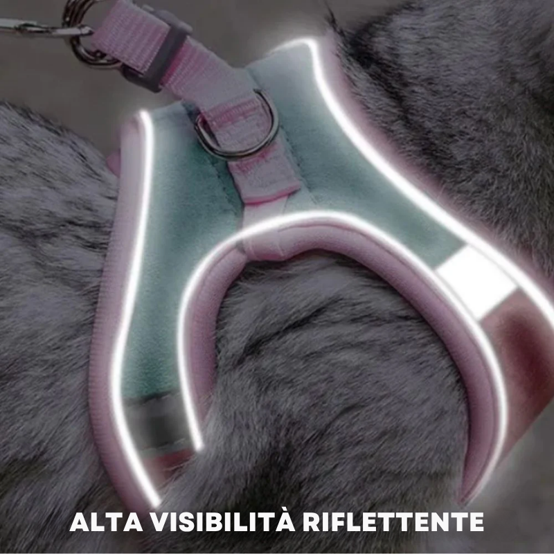 Pettorina Antifuga per Gatto