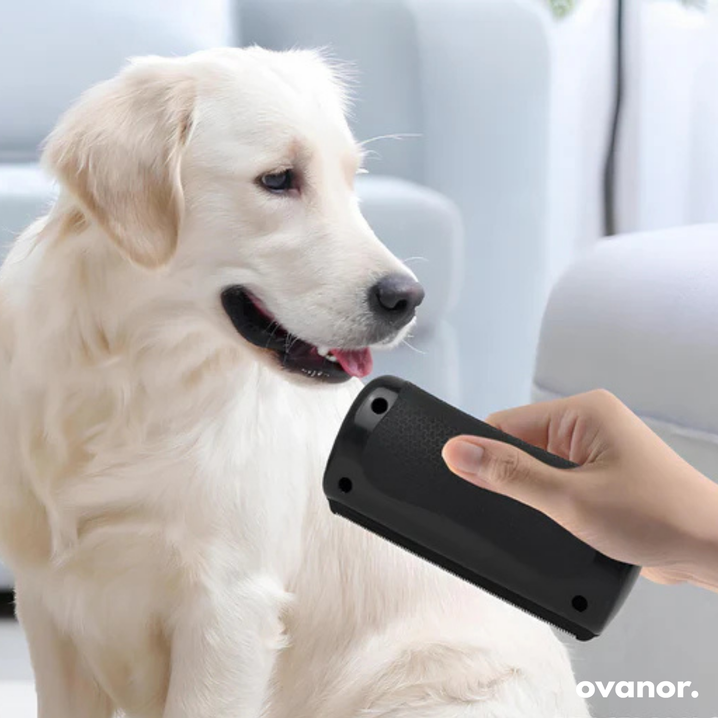 Spazzola per la toelettatura dei cani