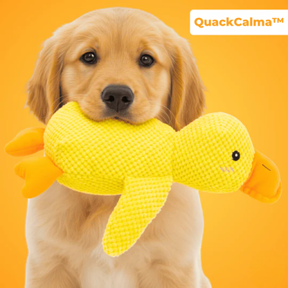 QuackCalma™ - Il compagno che rilassa ogni cagnolino