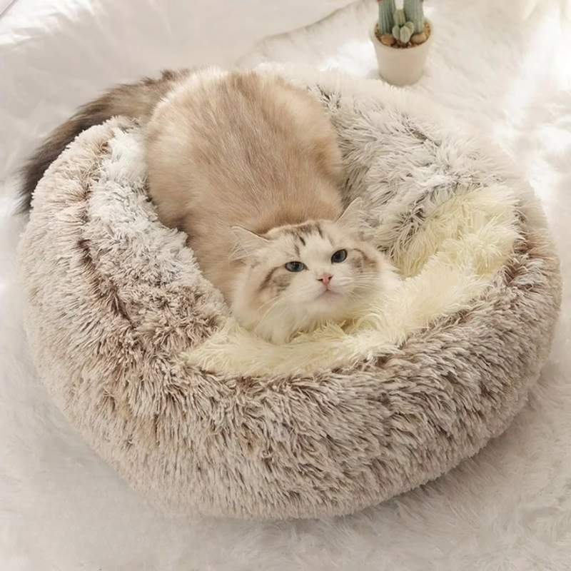 Coccolotto™ – Rifugio Morbido per Cani e Gatti