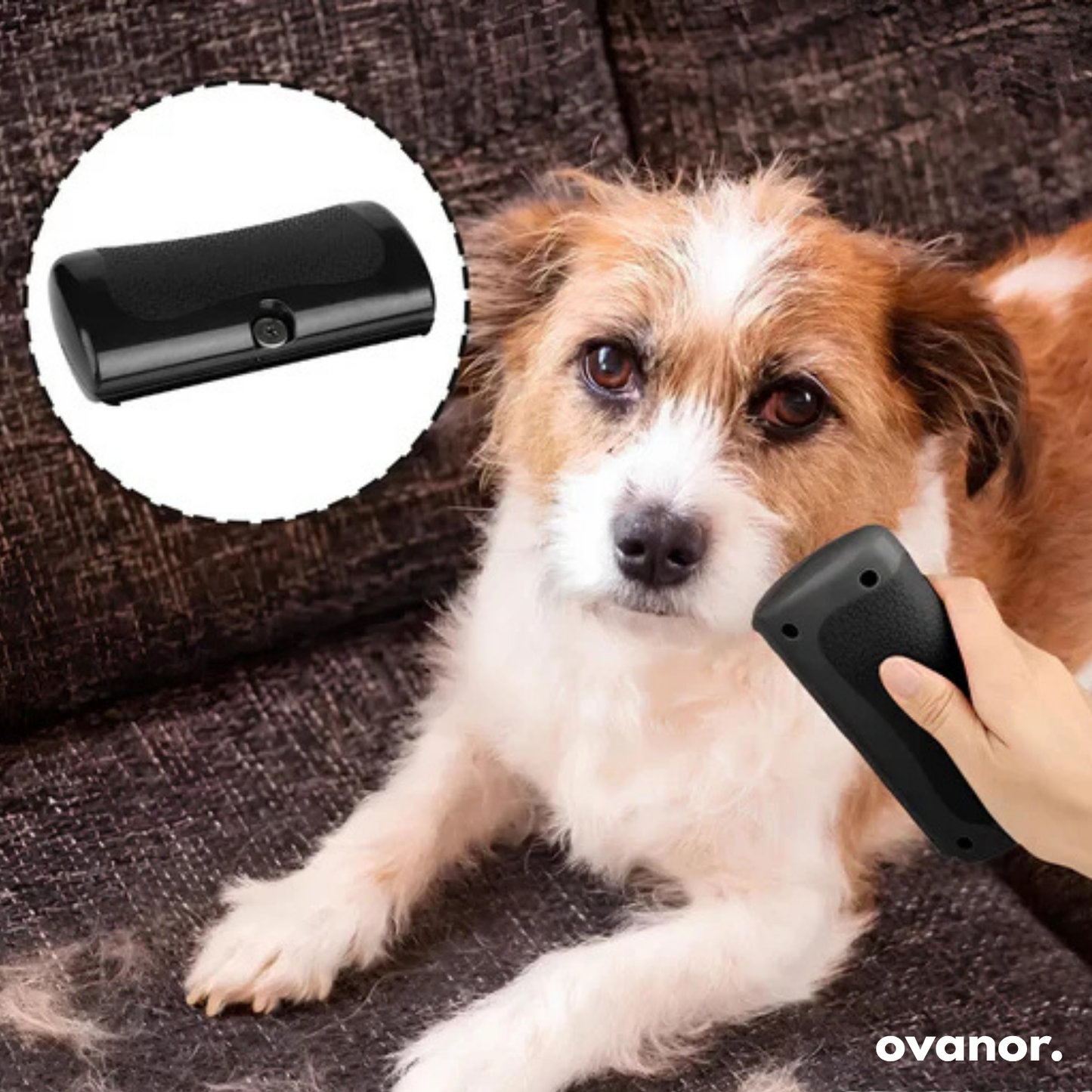 Spazzola per la toelettatura dei cani