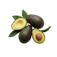 Estratto di vitamina E