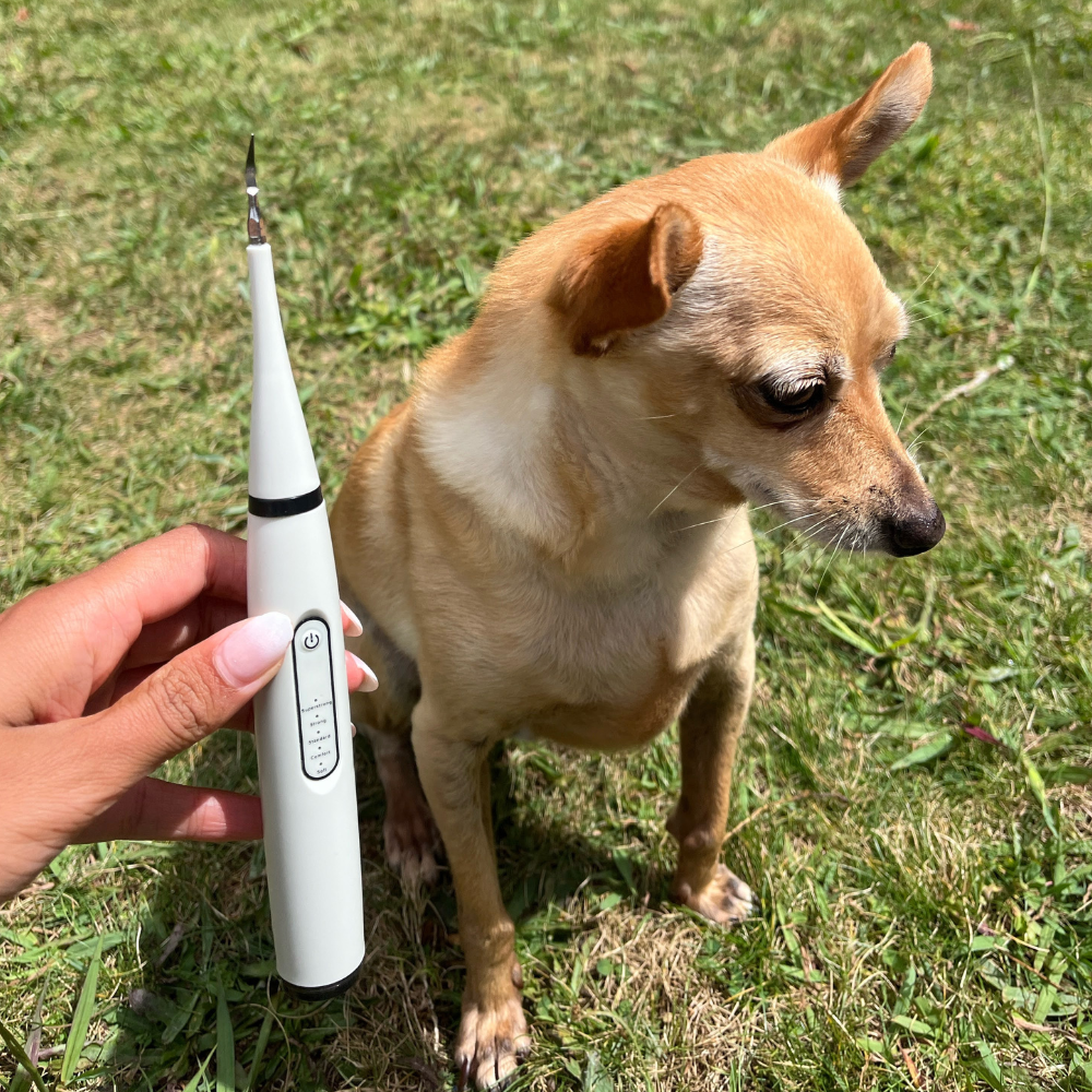 Dentapet™ - Pulitore Dentale Sonico per Cani