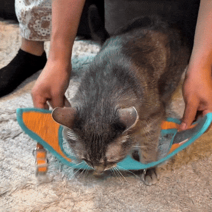 Pettorina Antifuga per Gatto