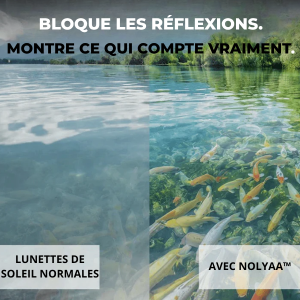 NOLYAA™ | Lunettes Premium Polarisées pour Pêcheurs