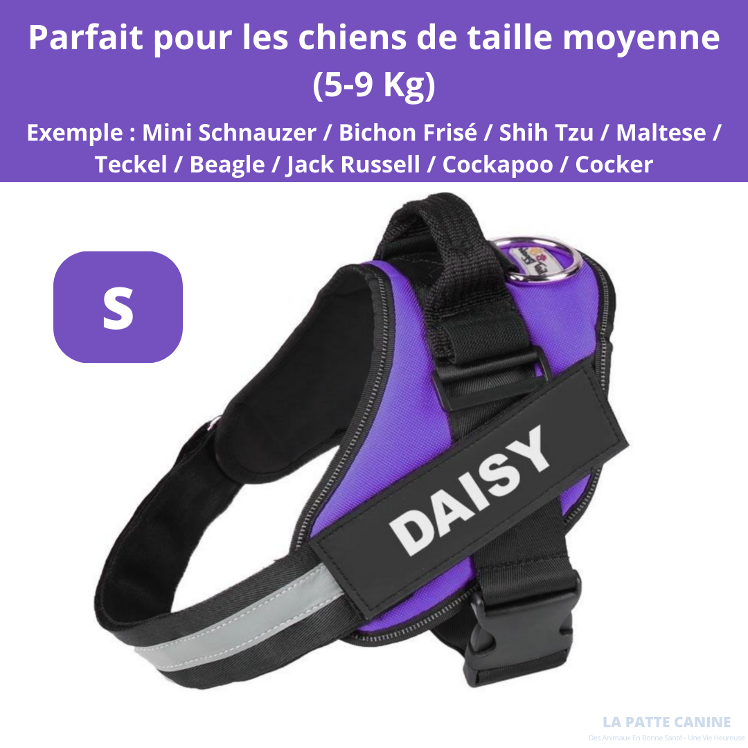 Pettorina anti-tiro regolabile