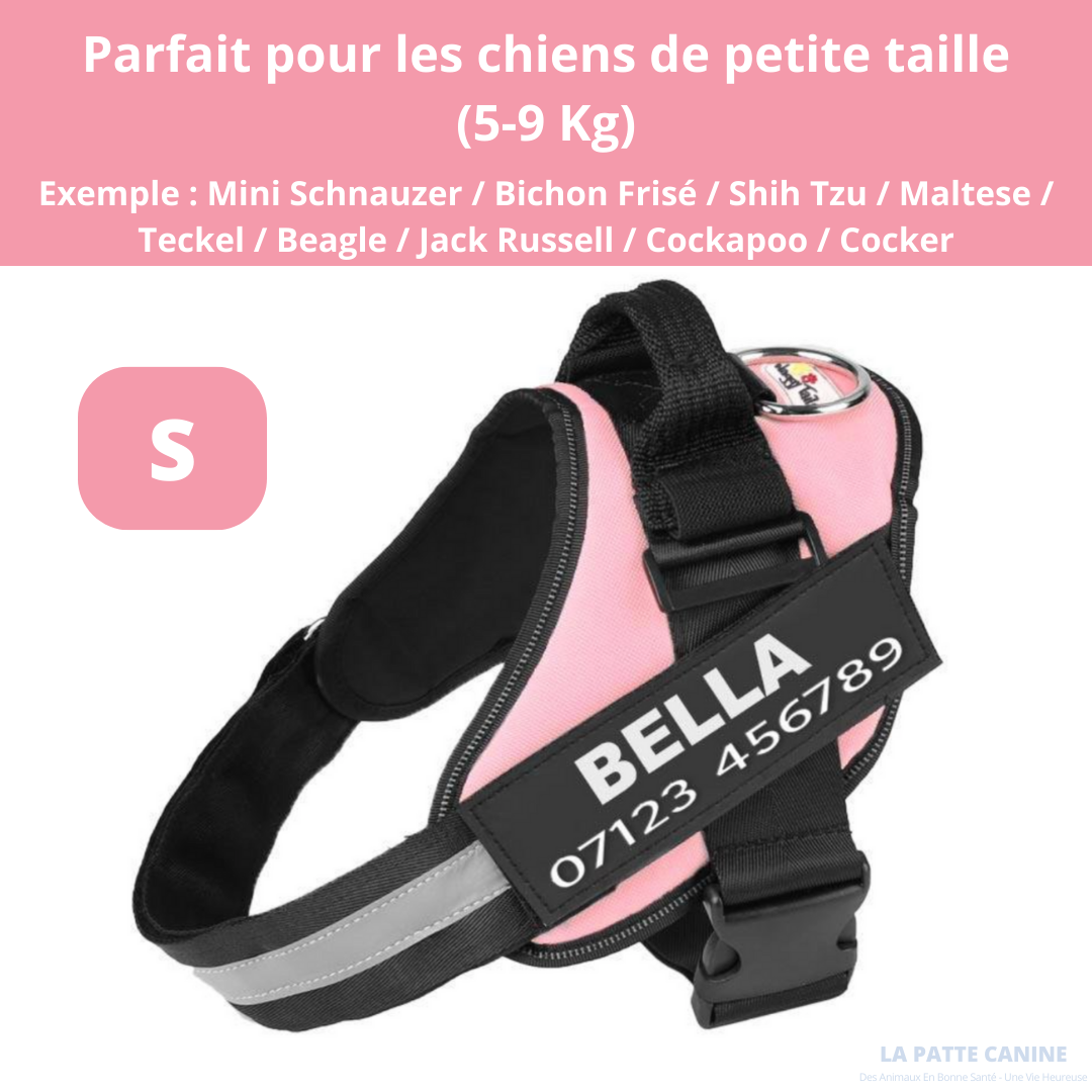 Pettorina anti-tiro regolabile