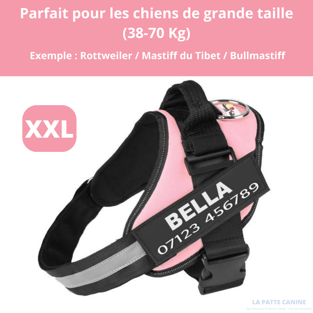 Pettorina anti-tiro regolabile