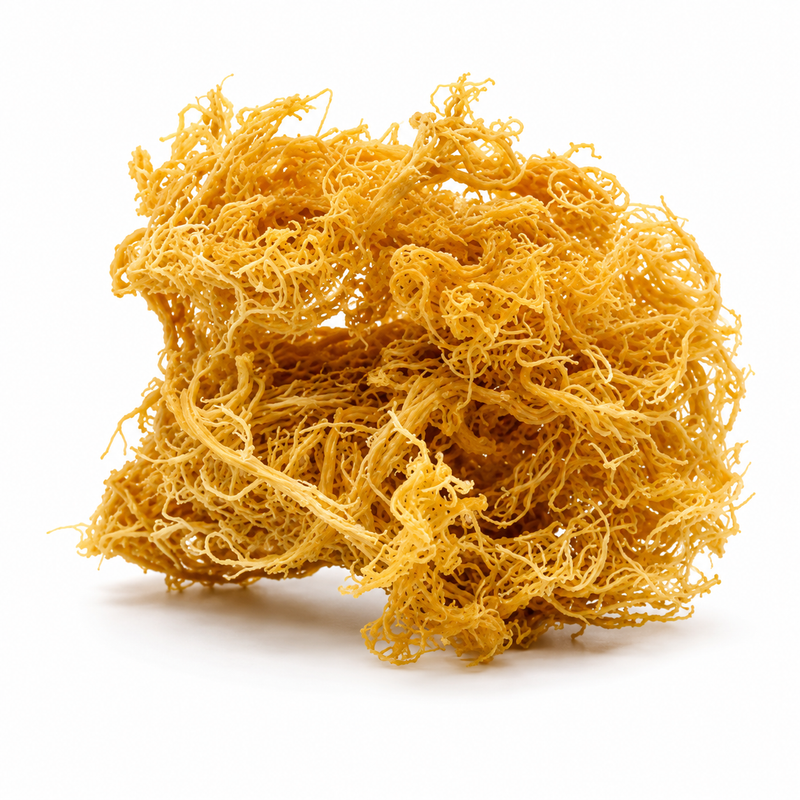 Sea Moss