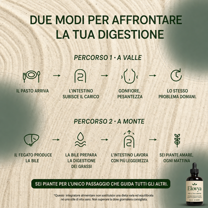 Elovya — Ritrova una pancia piatta
