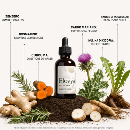 Elovya — Ritrova una pancia piatta