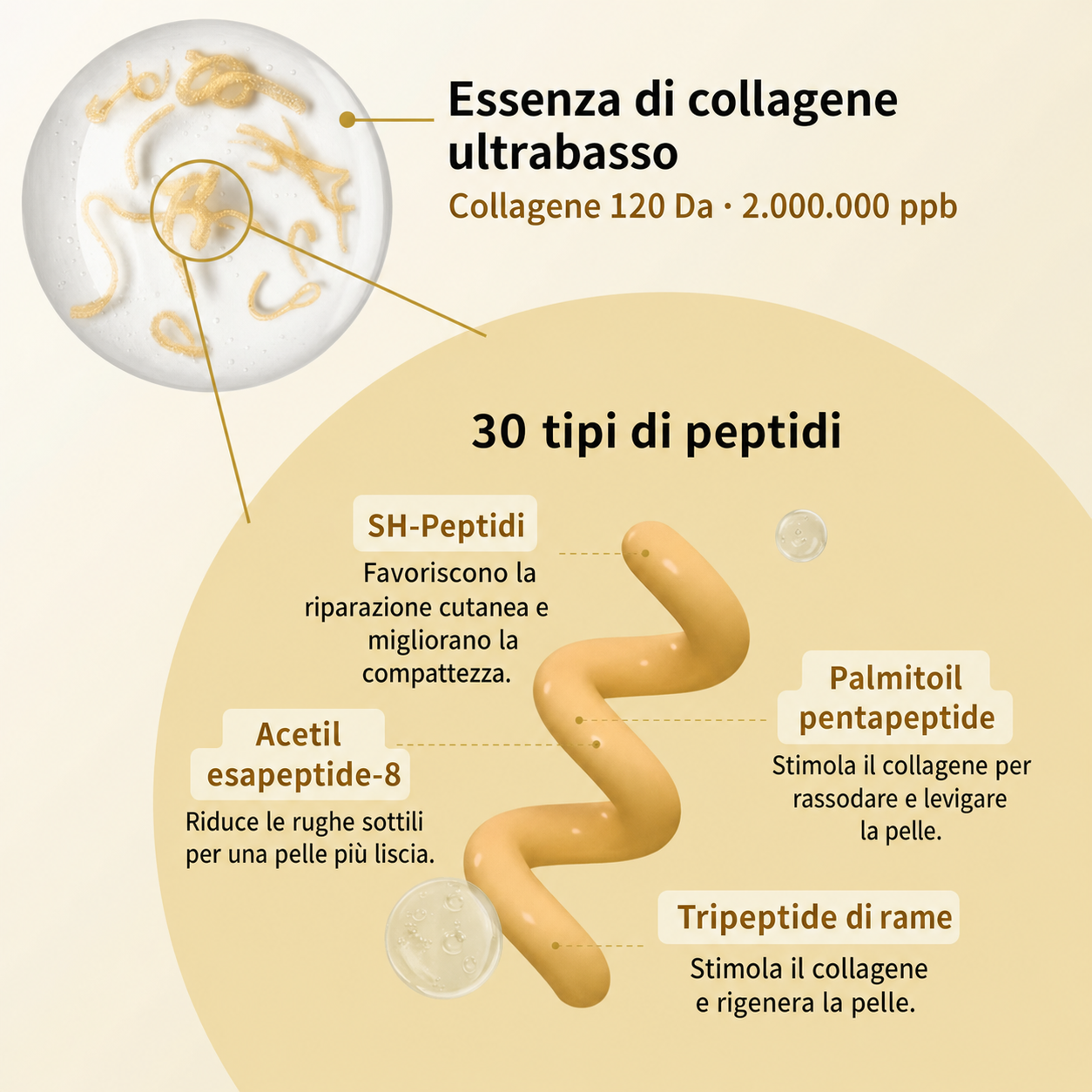 Fiala al collagene e peptidi della seta + omaggio incluso