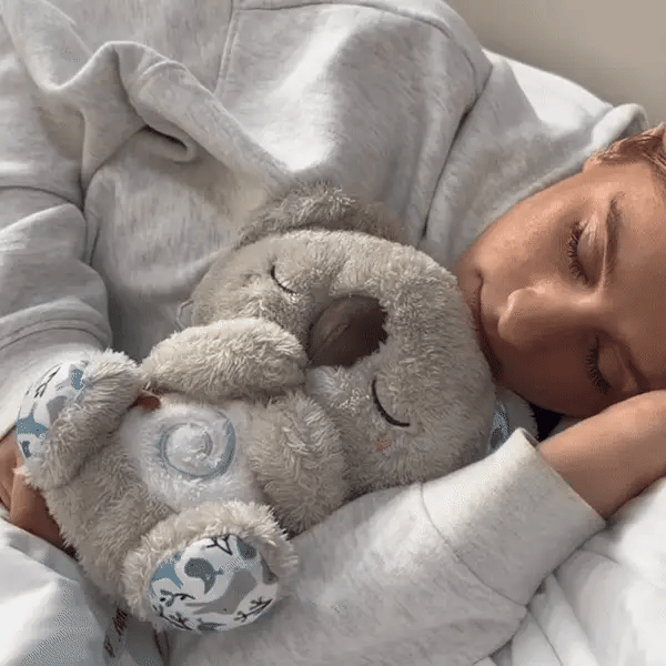 Koala Rilassante – Il tuo alleato per ritrovare la calma