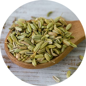 Estratto di semi di finocchio