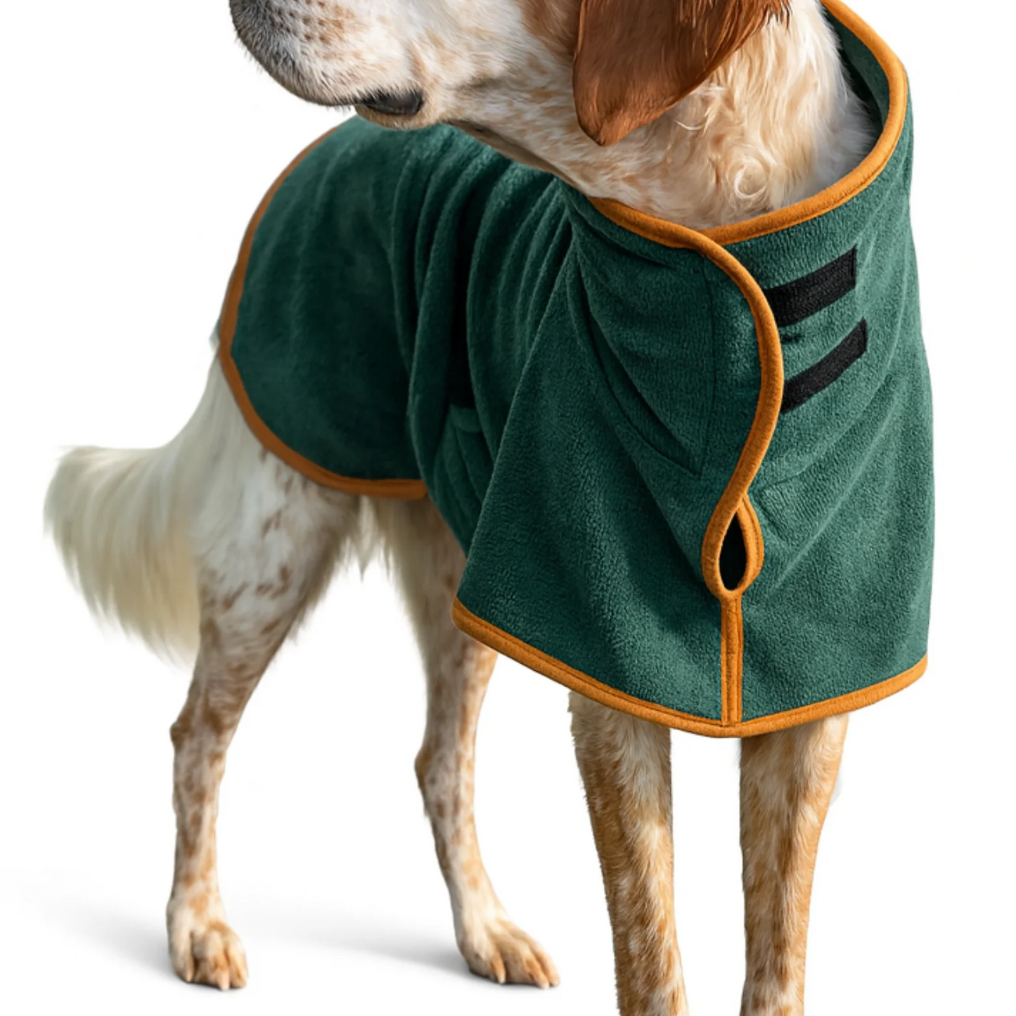 DogDry Lusso - Il benessere del tuo cane, asciutto e protetto